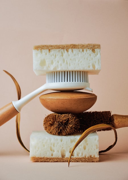 Why Hire Professional Cleaners?